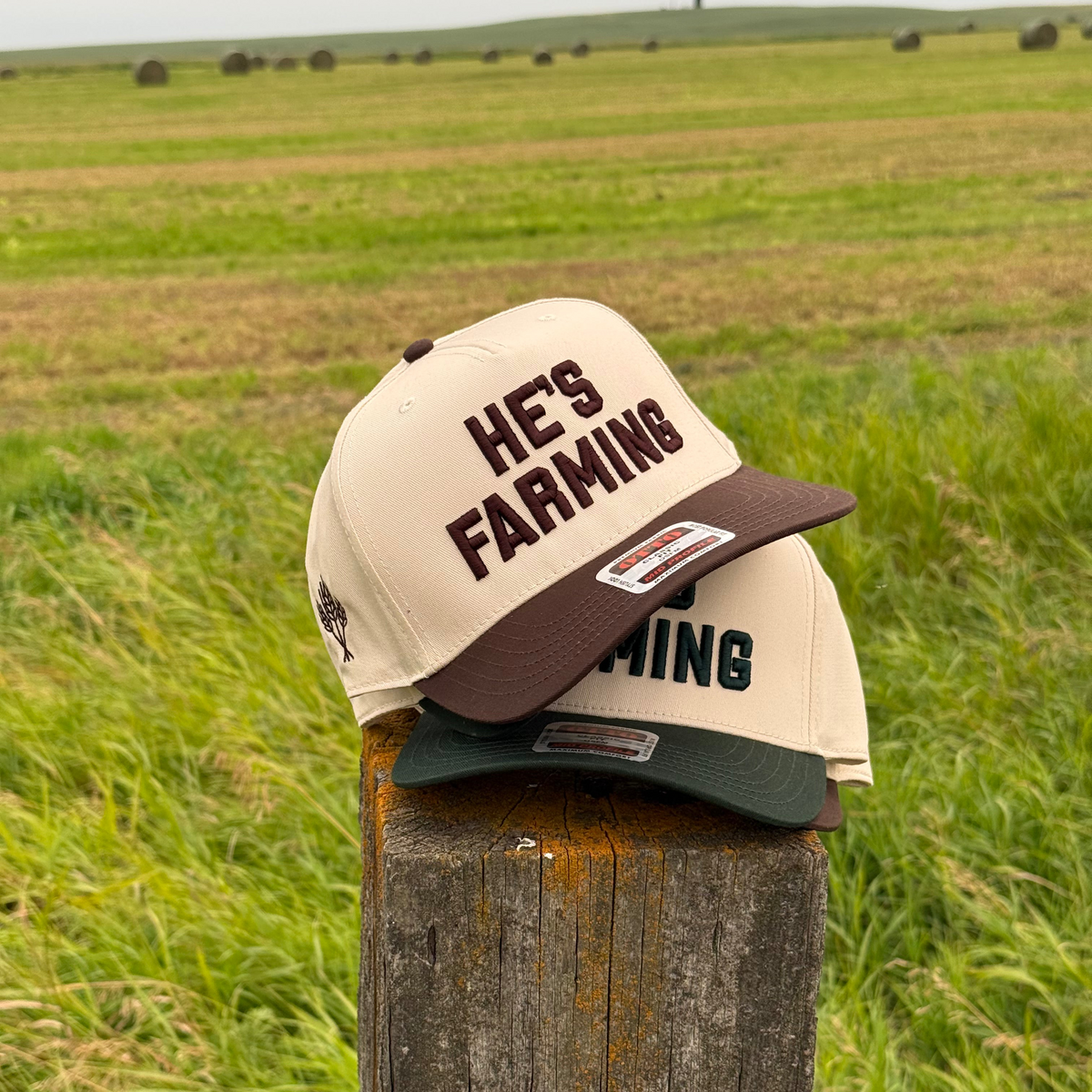 He's Farming Snapback