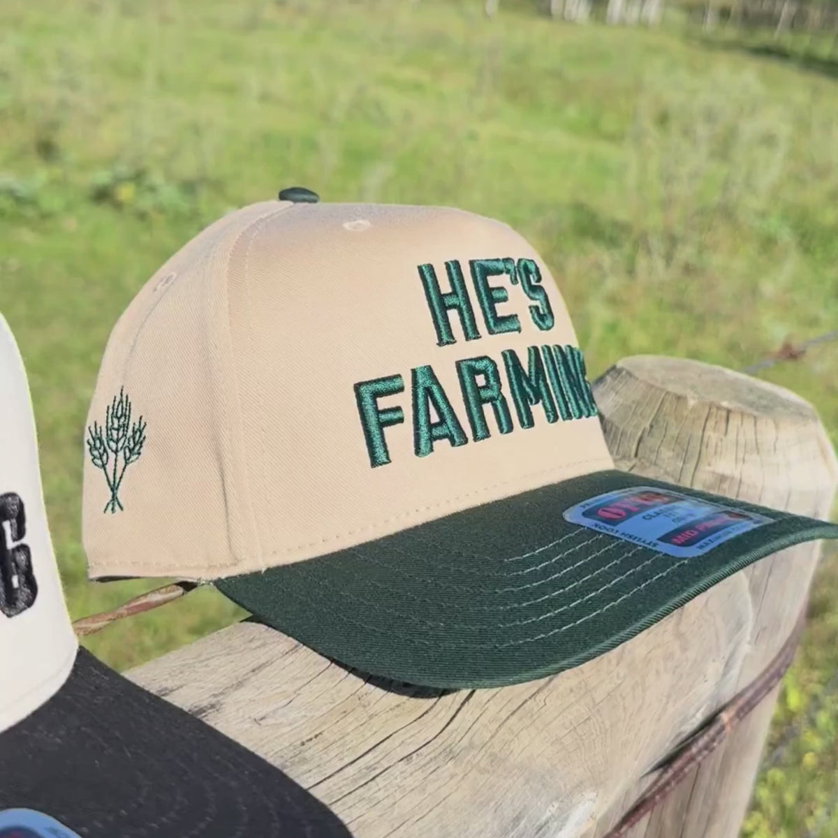 He's Farming Snapback